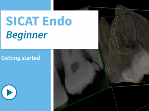 kurs_endo_diagnosis-and-planning_en